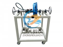 �����C(j��)�x������(sh��)Ӗ(x��n)�_(t��i)